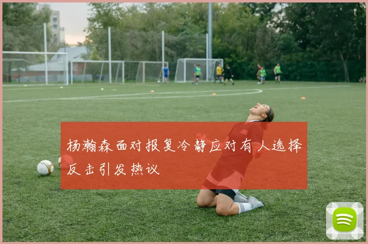杨瀚森面对报复冷静应对有人选择反击引发热议